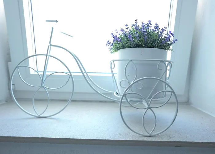 Mia With Pool Villa Donje Rastane